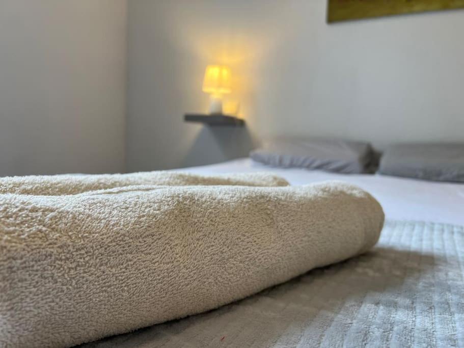 T2 Calme Et Paisible Parking Apartment Carcassonne Exterior photo